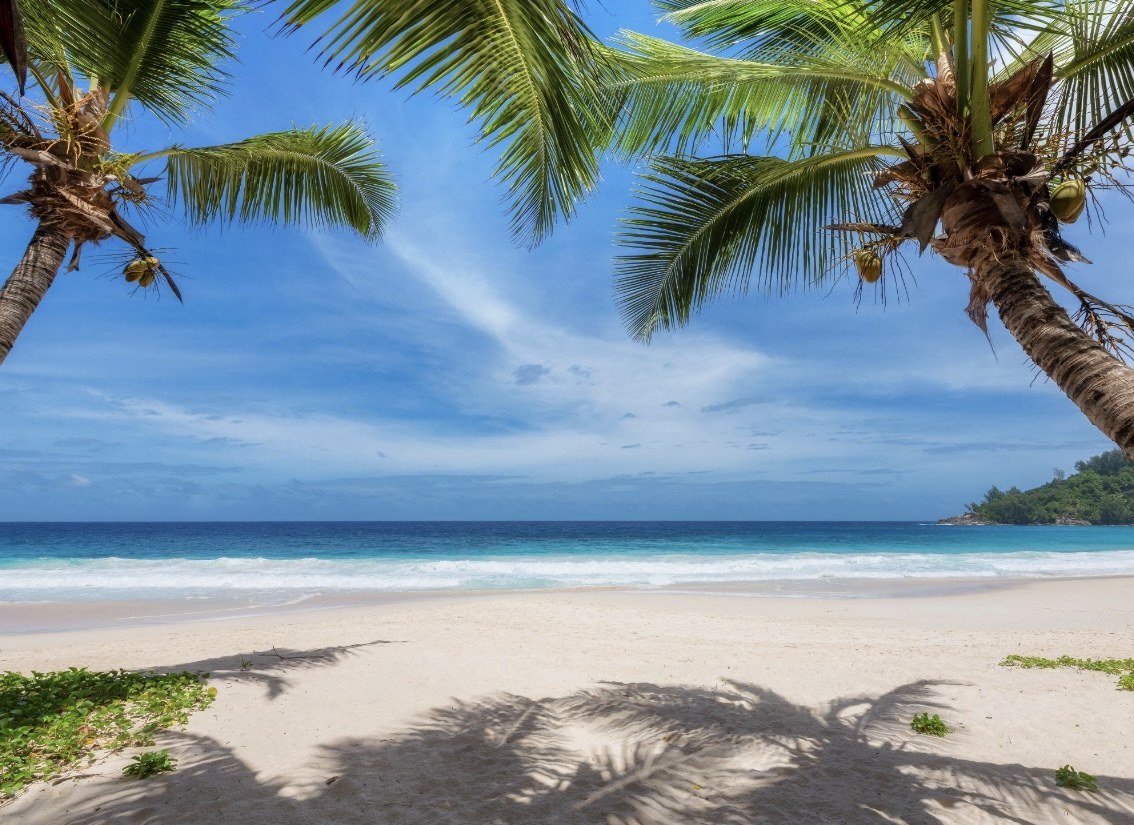 Palm trees framing a white sand beach and the Caribbean Sea