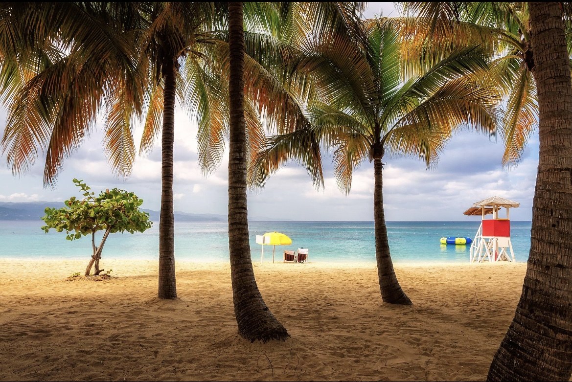 Jamaica beach shaded by palm trees